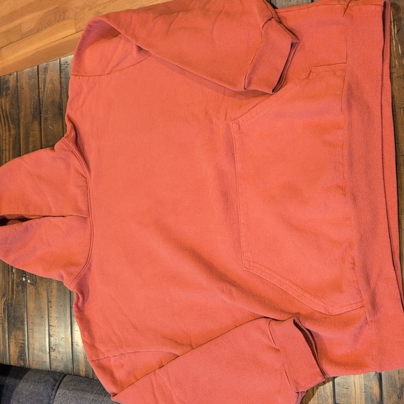 Talentless Heavyweight Hoodie - Picture 2 of 6